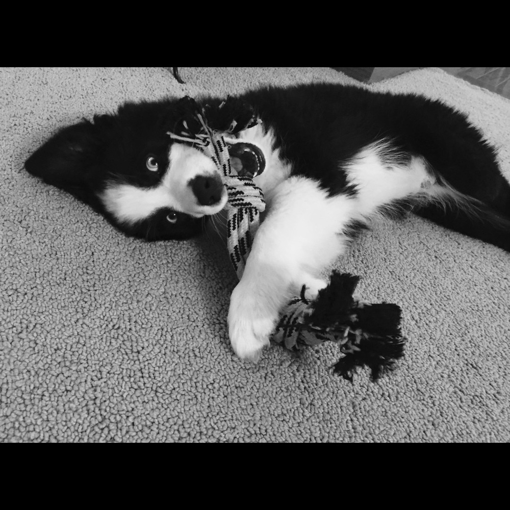 Meet your Posher, Michelle